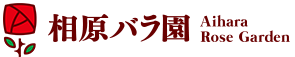 相原バラ園