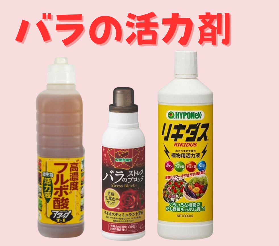 バラの活力剤