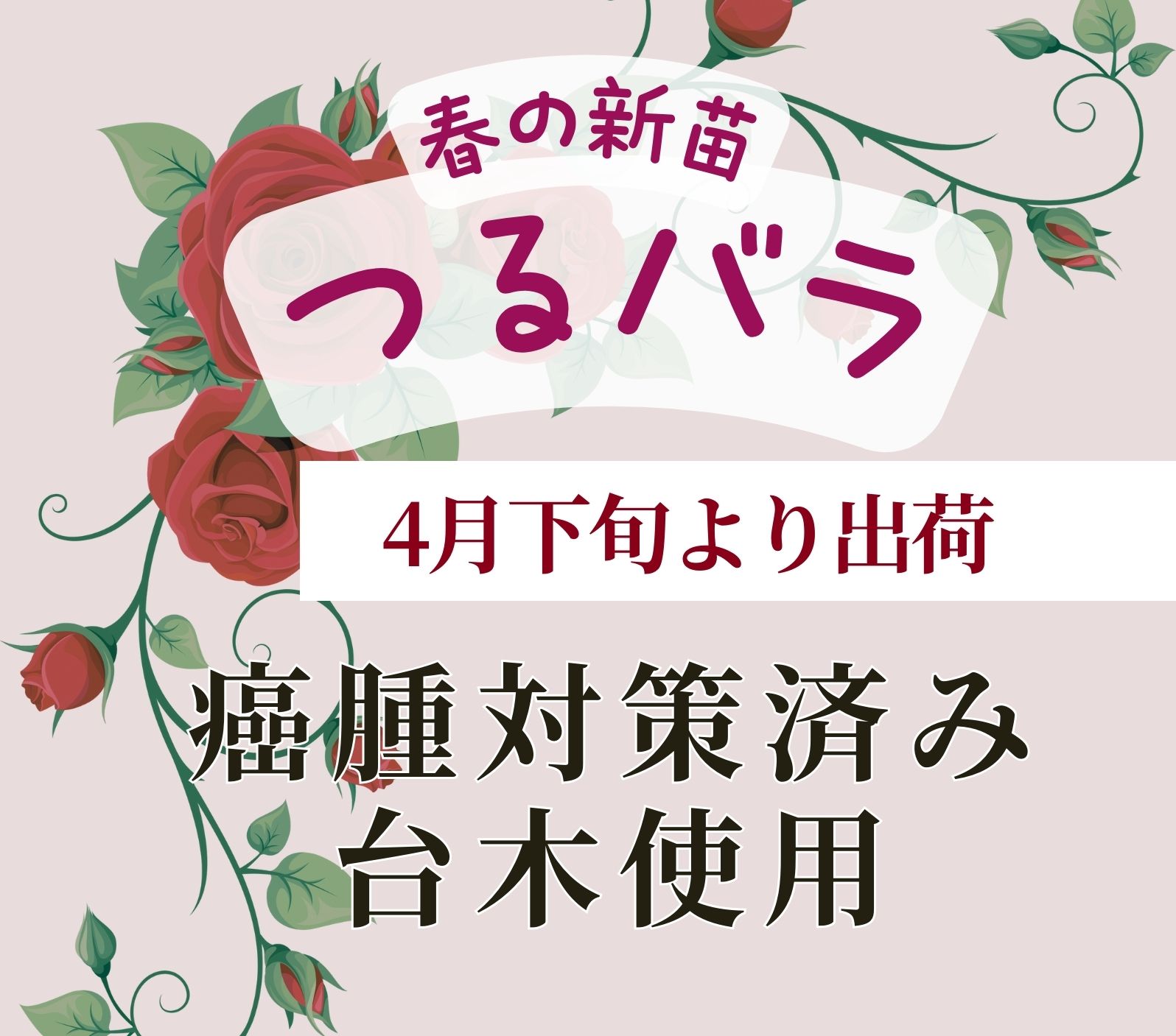 つるバラ