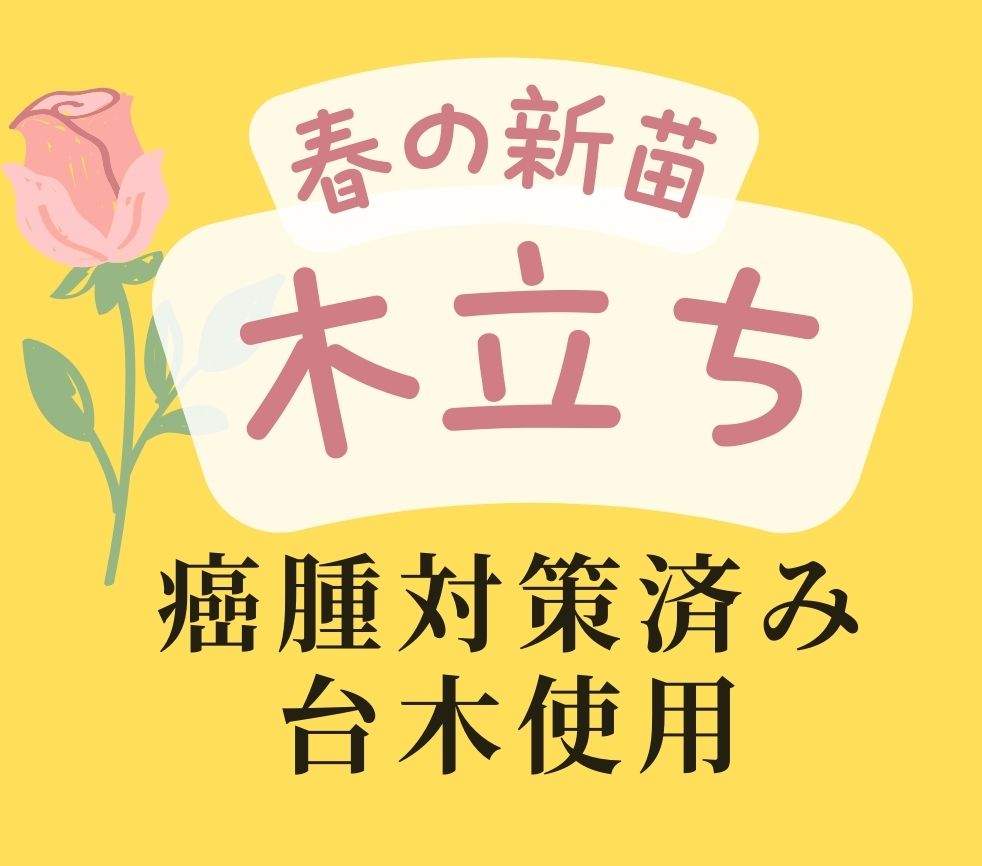木立ち