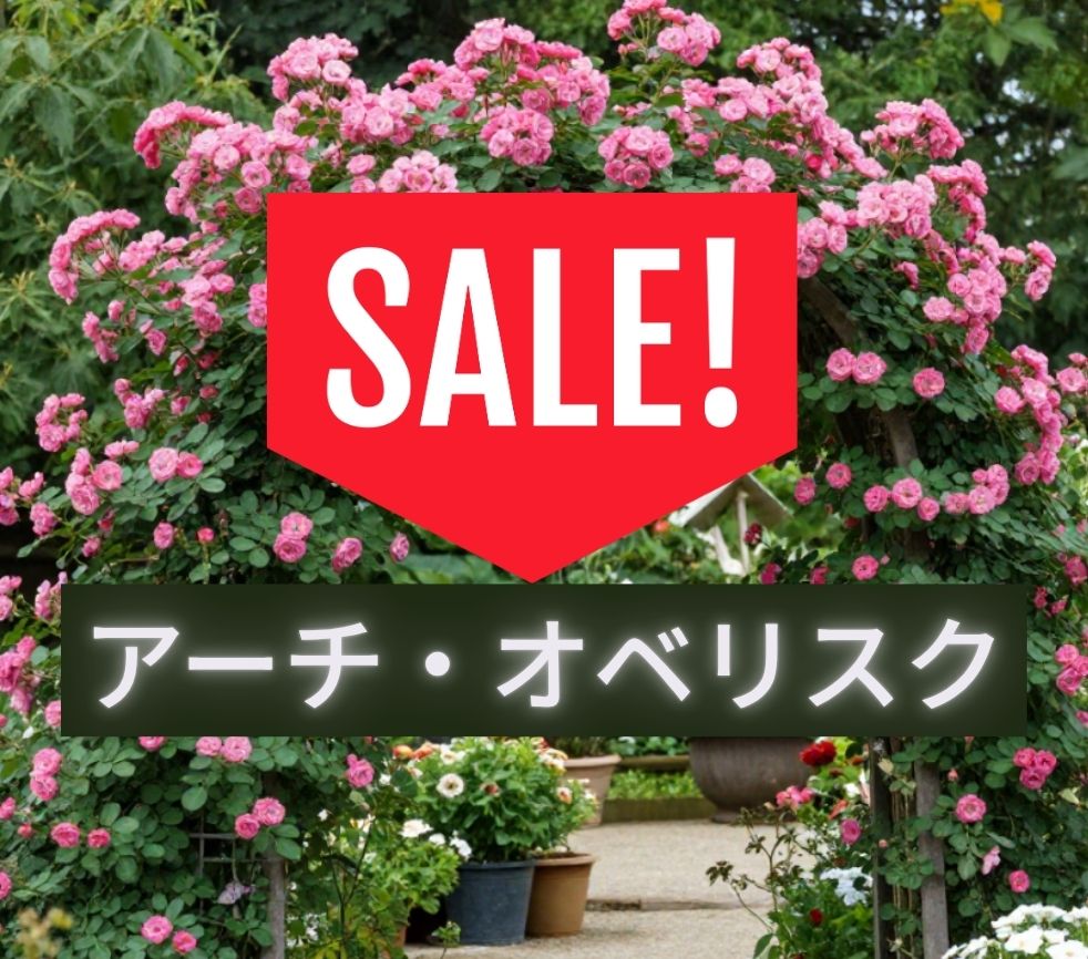 アーチ・オベリスク