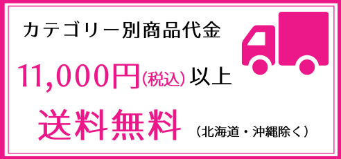 カテゴリー別商品代金 11,000円（税込）以上 送料無料（北海道・沖縄除く）