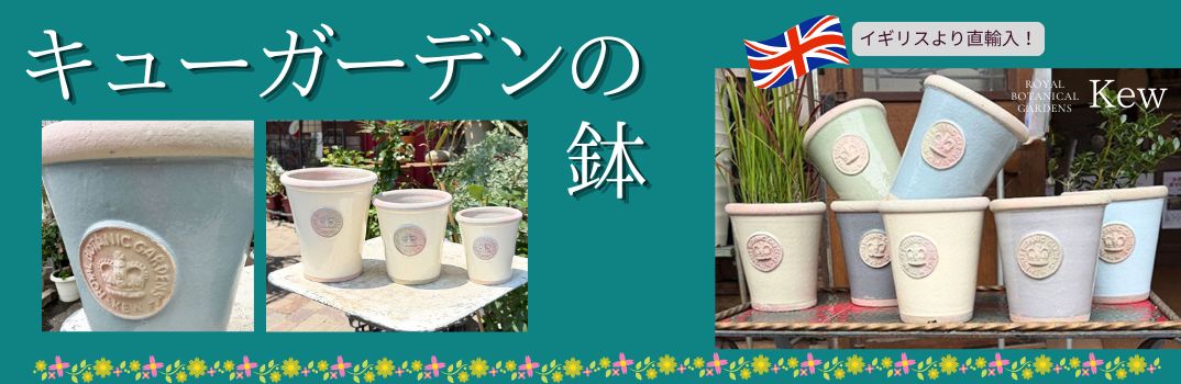 キューガーデンの鉢