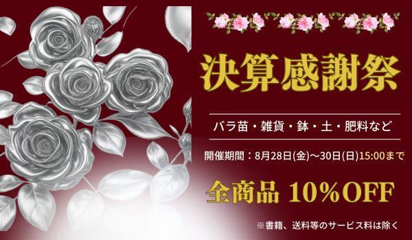 決算感謝祭
