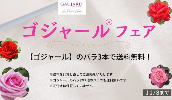 ゴジャールフェア