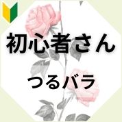 初心者さん つるバラ