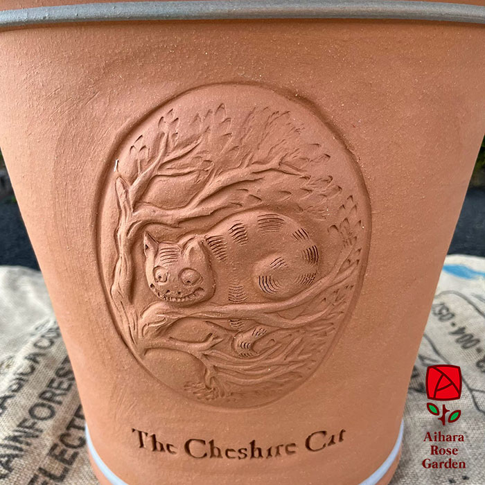 ウィッチフォード鉢Cheshive Cat