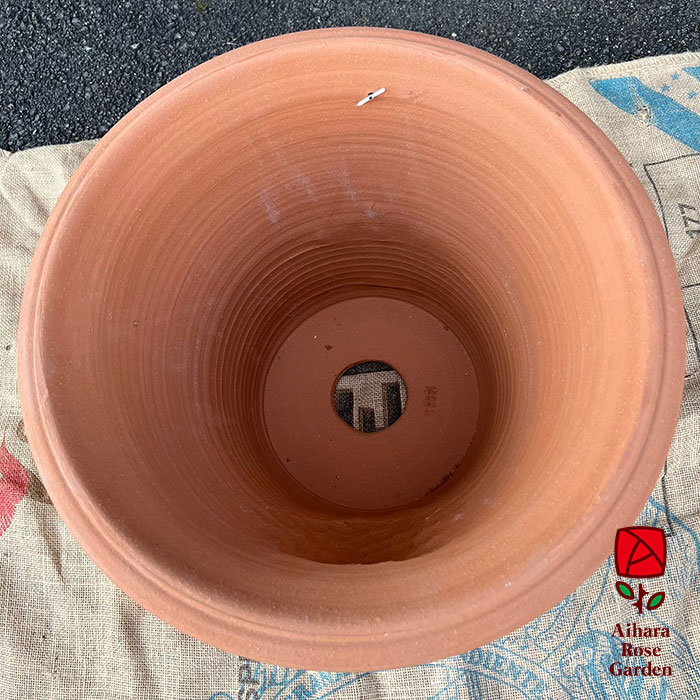 ウィッチフォード鉢Cheshive Cat 4