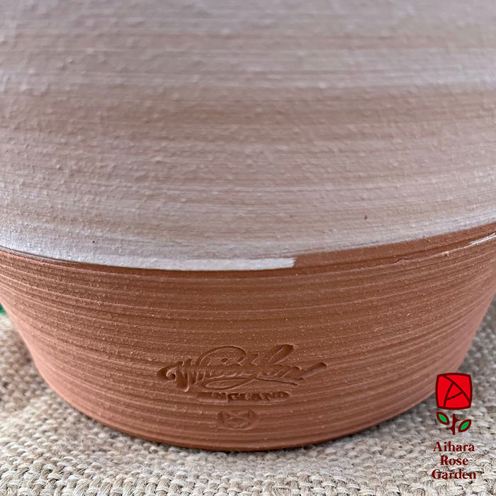 ウィッチフォード鉢Adamis Bawel 2