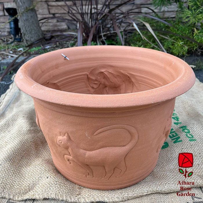 ウィッチフォード鉢Cat Planter