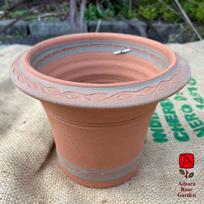 ウィッチフォード鉢S.Hellebore