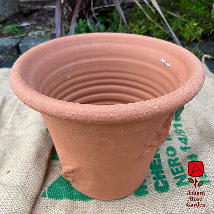 ウィッチフォード鉢Salamander