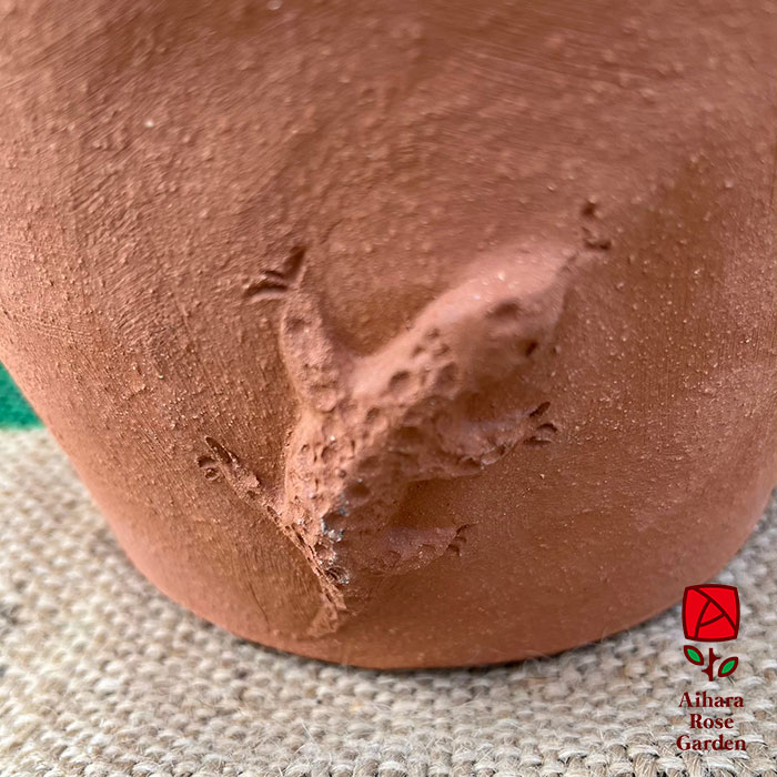 ウィッチフォード鉢Salamander 2