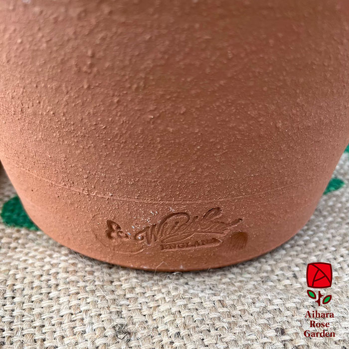 ウィッチフォード鉢Salamander 3