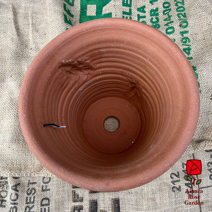 ウィッチフォード鉢Salamander 4