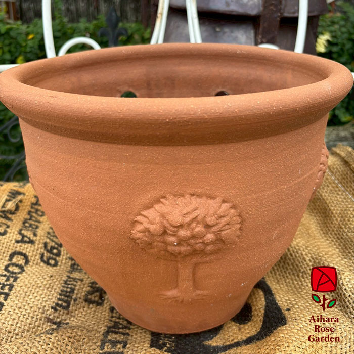 ウィッチフォード鉢Apple Tree Wall（壁掛けタイプ）