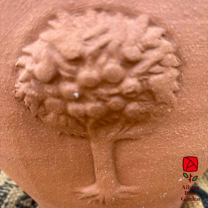 ウィッチフォード鉢Apple Tree Wall（壁掛けタイプ） 2