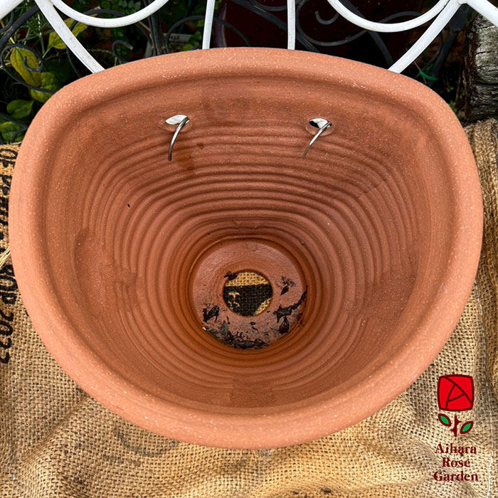 ウィッチフォード鉢Apple Tree Wall（壁掛けタイプ） 3