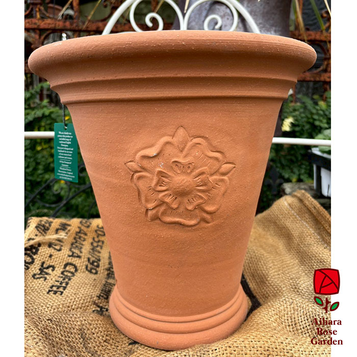 ウィッチフォード鉢English Rose Long Tom