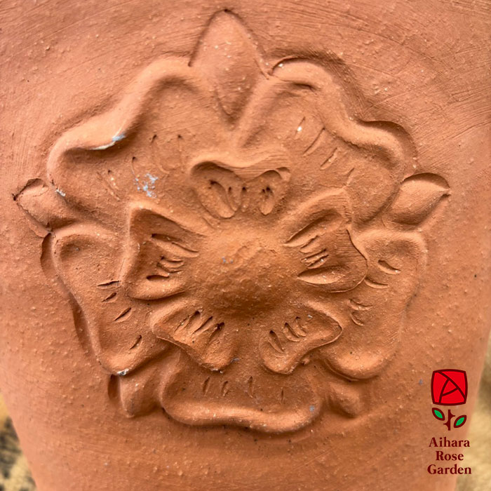 ウィッチフォード鉢English Rose Long Tom 2