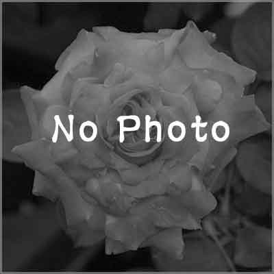 パンセ（ゴジャール）≪春の新苗・4月末より出荷開始≫