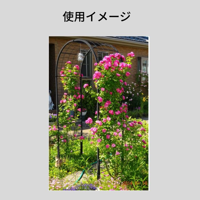 【送料込・セール】フラワーアーチ【No.280】 2