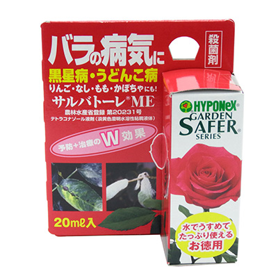相原バラ園 サルバトーレme 20ml 税込 0円 相原バラ園 サルバトーレme 20ml 税込 0円