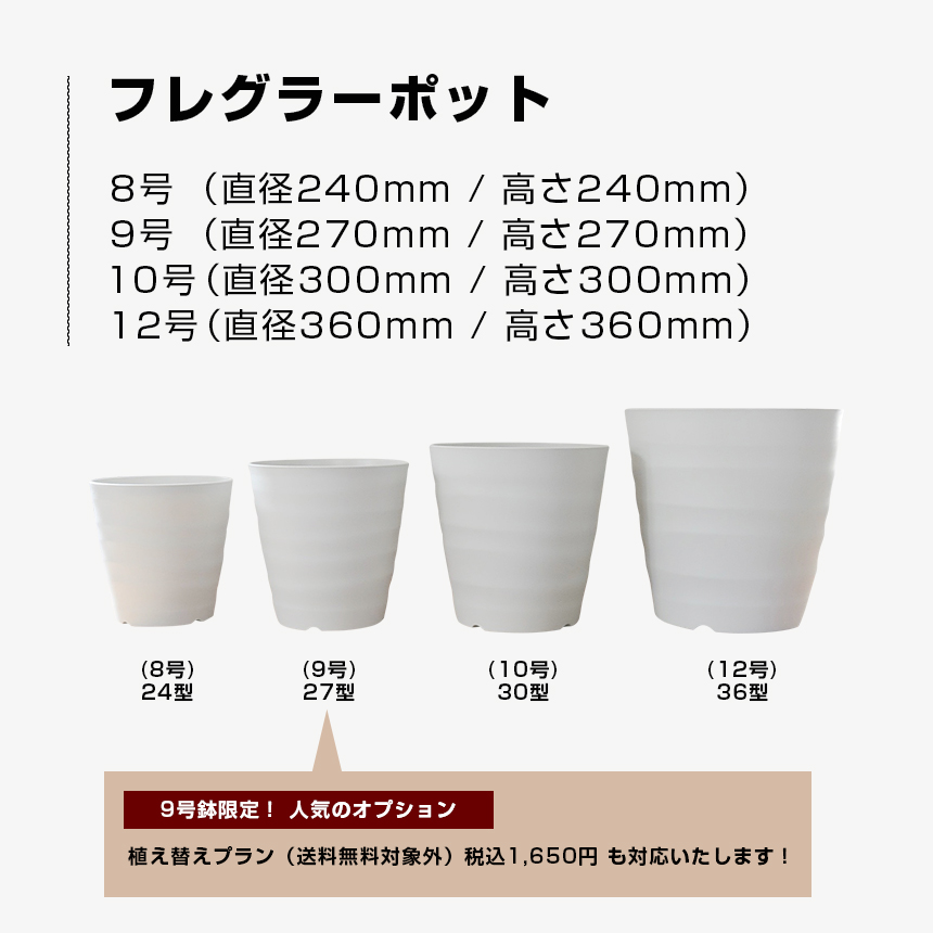 フレグラーポット24型(8号) 緑（送料無料対象外） 4