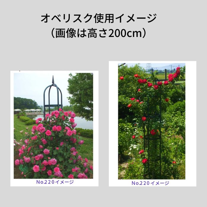 【送料込・セール】オベリスク高さ250cm【No.221】 2