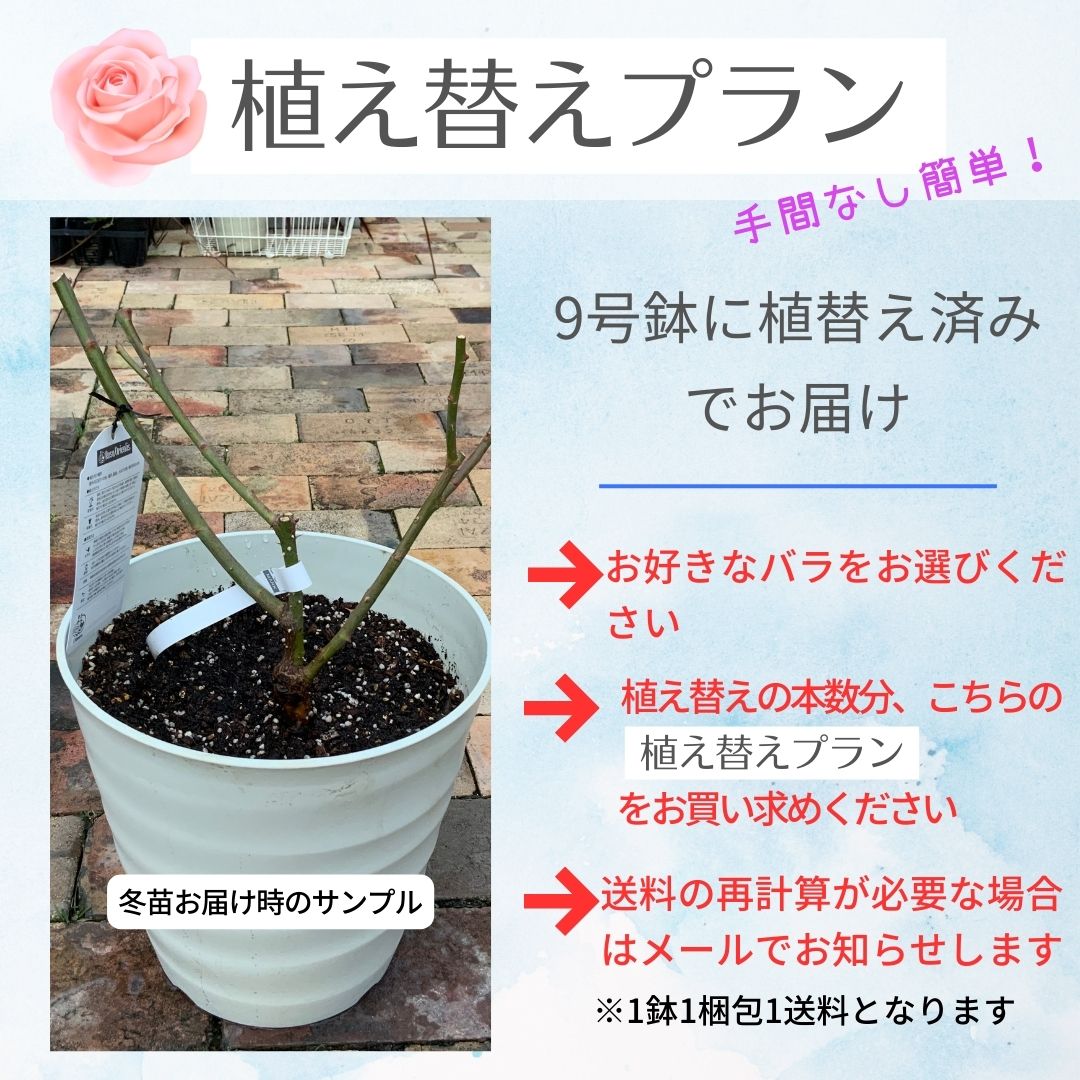 【オプション1】植え替えプラン