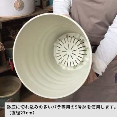 【オプション1】植え替えプラン 2