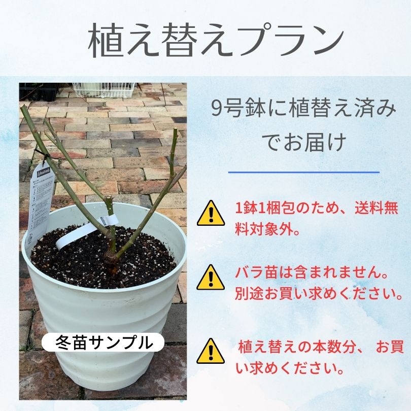 【オプション２】植え替え・肥料セット（見本苗7号鉢用）