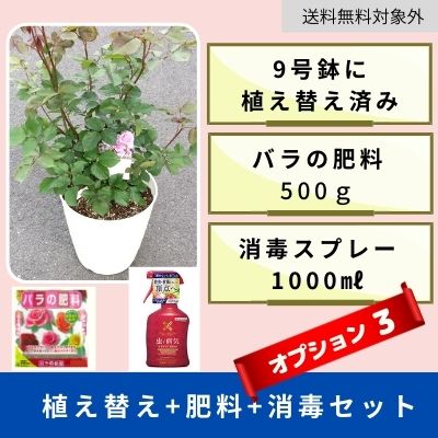 【オプション３】植え替え・肥料・消毒セット（送料無料対象外）
