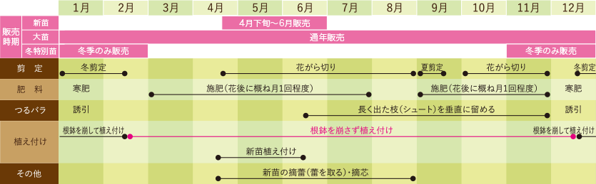 お手入れスケジュール