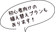 初心者向けの植え替えプランもあります