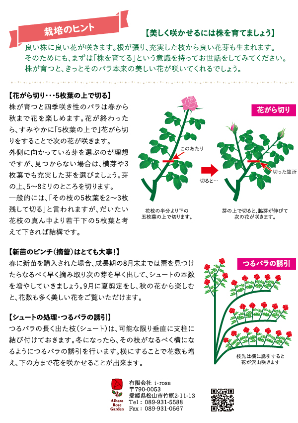 相原バラ園 バラの育て方