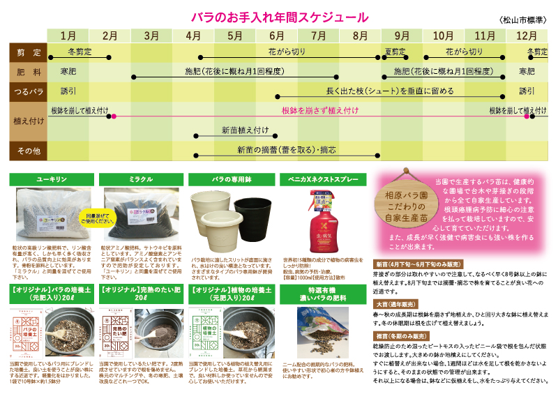 相原バラ園 バラの育て方